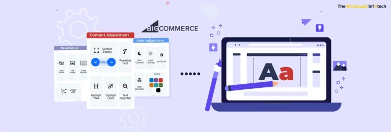Web Accessibility Solution: Custom Bigcommerce App