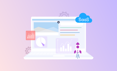 MVP SaaS Development