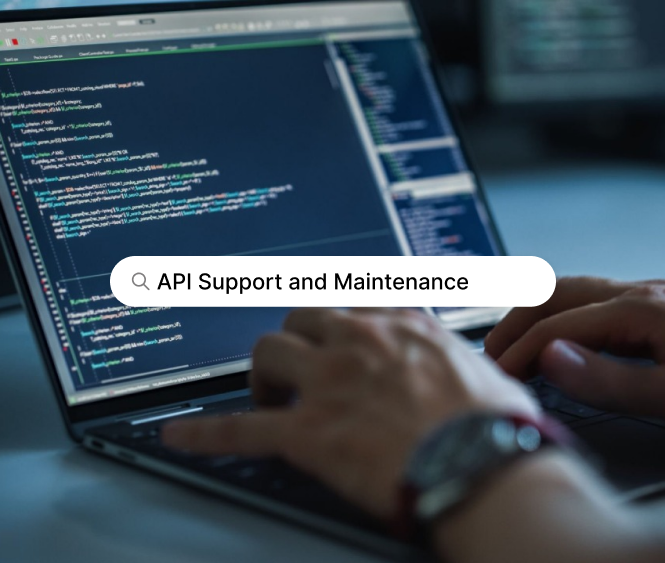 API Support & Maintenance