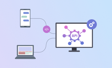 Software Integration & API Development