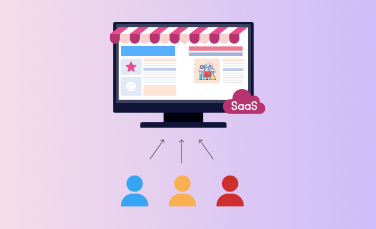 Multi-tenant SaaS Development