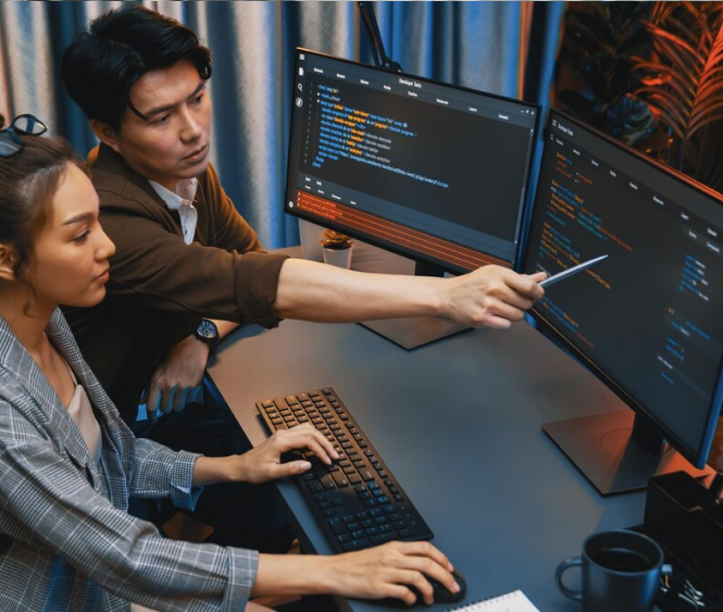 Software Development Consulting Services