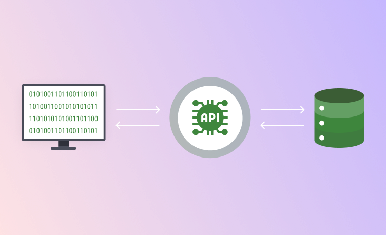 Third-Party API Integration
